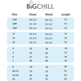Big Chill Boys 8-20 Shark Rash Guard Short Sleeve, 2-Pack