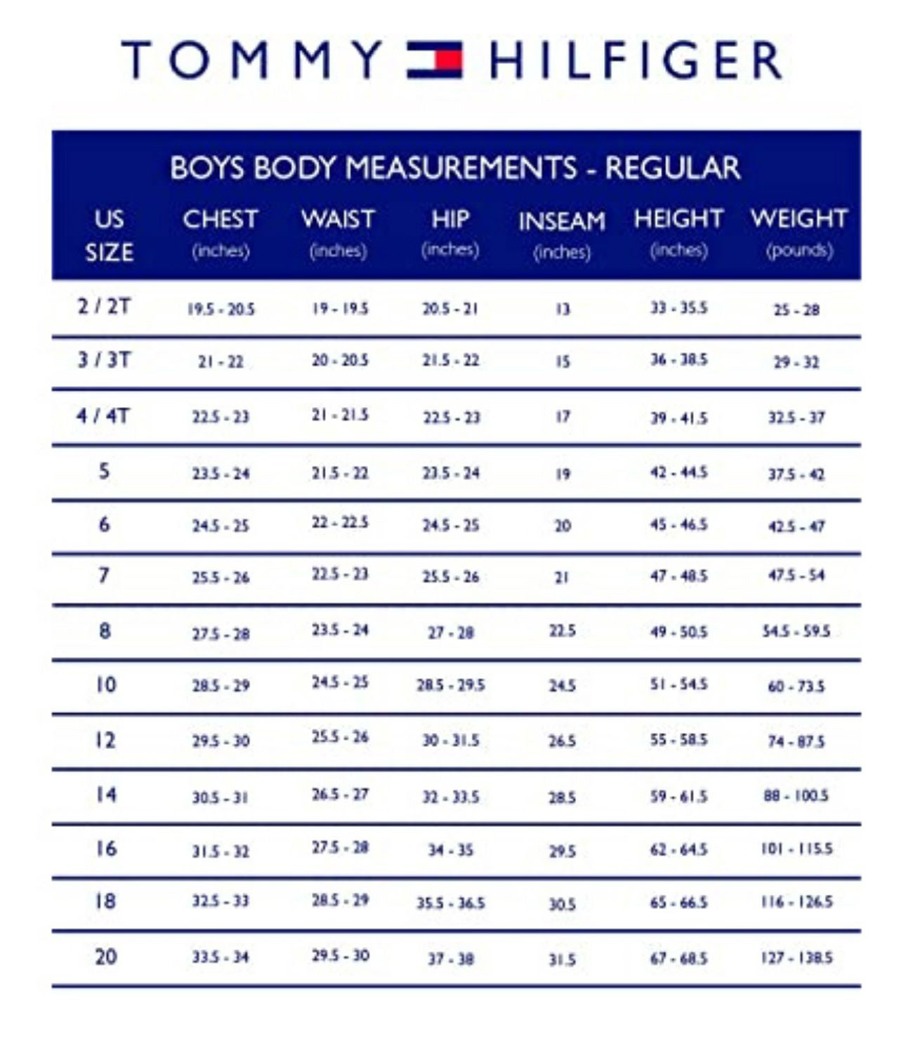 Tommy Hilfiger Boys 4-7 Tommy Logo T-Shirt