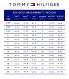 Tommy Hilfiger Boys 4-7 Tommy Logo T-Shirt