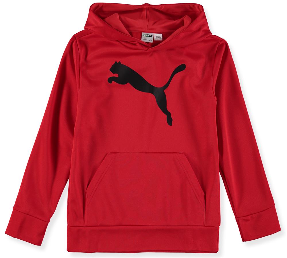 PUMA Boys 8-20 Core Pack Hoodie