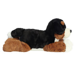 Aurora 12'' Bernie Mountain Dog