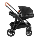 Chicco Corso LE Modular Quick-Fold Stroller - Studio