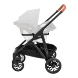 Chicco Corso LE Modular Quick-Fold Stroller - Studio