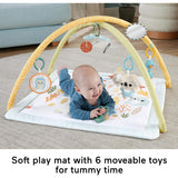 Fisher Price Simply Senses Newborn Gym Baby Activity Mat With 6 Sensory Toys