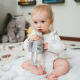 Dr. Brown's Milestones Narrow Sippy Straw Bottle, Spill-Proof with 100% Silicone Handles and Weighted Straw, 8 oz/250 mL, 6m+