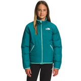 The North Face Kids Reversible North Down Jacket