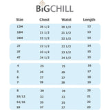 Big Chill Boys 12-24 Months Shark Rash Guard Short Sleeve