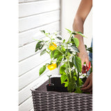 Keter Easy Grow 31.7 Gallon Raised Garden Bed Planter