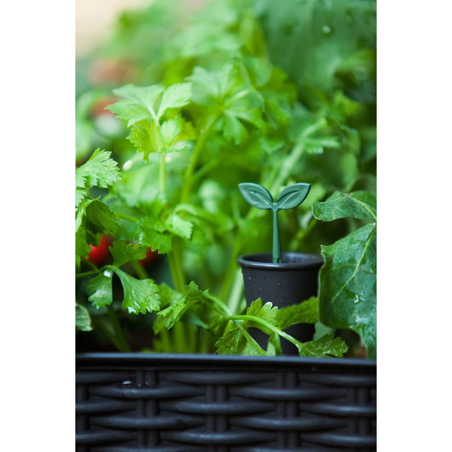 keter easy grow 31.7 gallon brown rectangular plastic indoor planter Keter Easy Grow 31.7 Gallon Raised Garden Bed Planter – S&D Kids