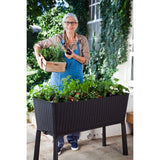 Keter Easy Grow 31.7 Gallon Raised Garden Bed Planter