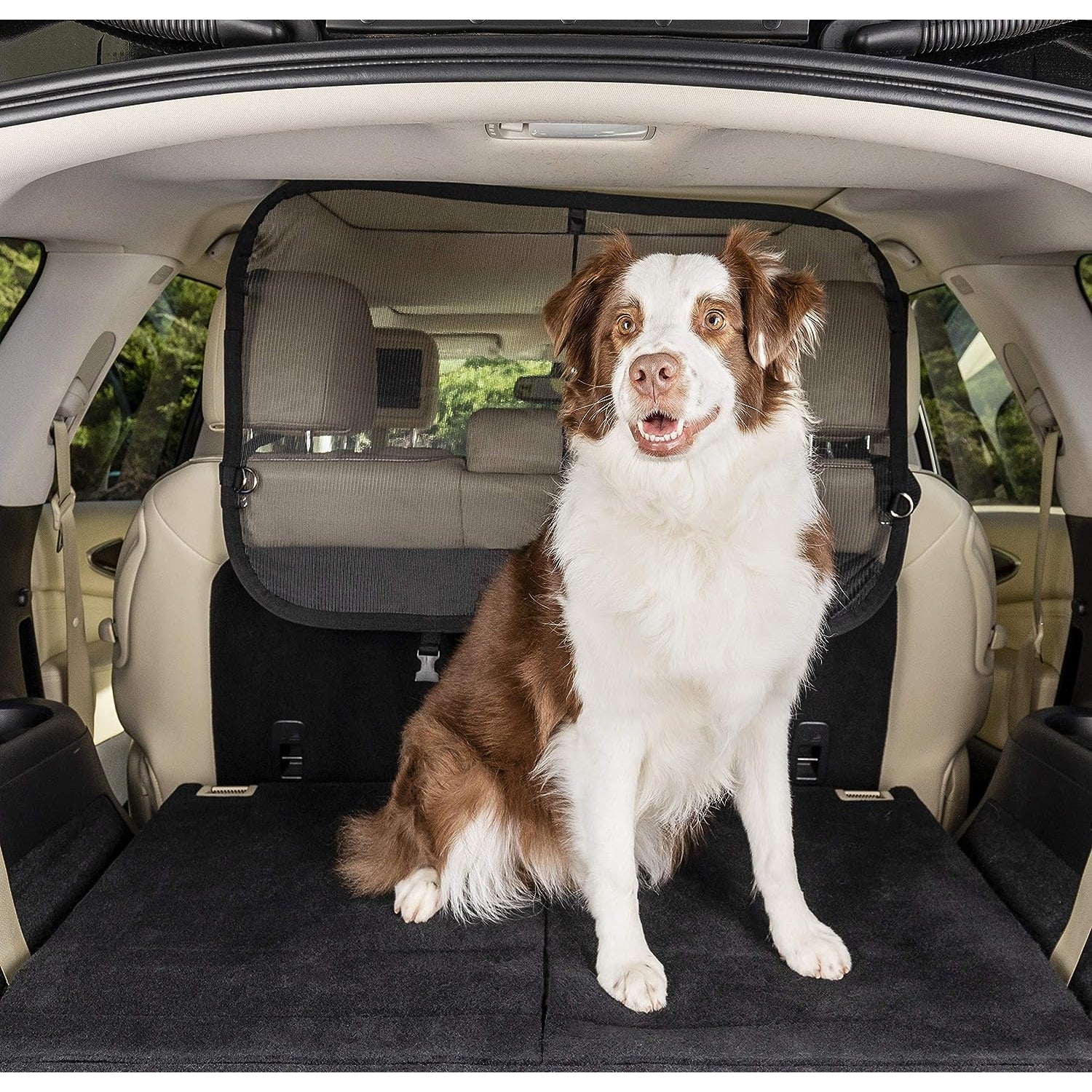 PetSafe Happy Ride Cargo Area Dog Barrier