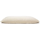 Naturepedic Organic Cotton Pillow - Standard Size Low Fill