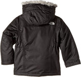The North Face Greenland Down Parka