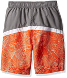 Big Chill Boys 4-7 Surf Rash Guard Swim Set