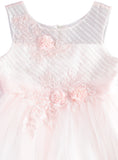 Pink Butterfly Girls 7-16 Flower Beaded Dress