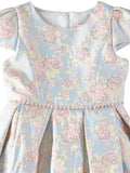 Pink Butterfly Girls 7-16 Floral Texture Dress