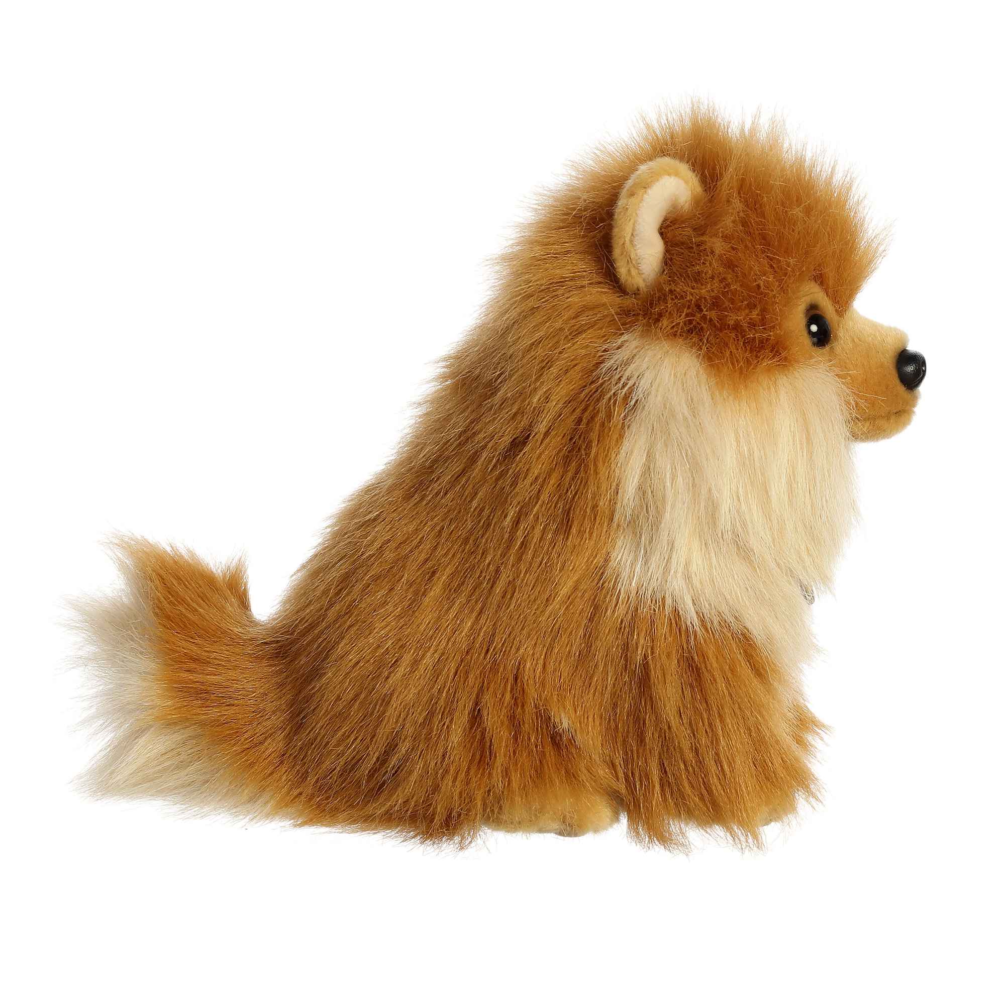 Aurora - Miyoni - 9'' Pomeranian Pup