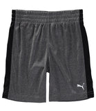 PUMA Boys 2T-4T T-Shirt Short Set