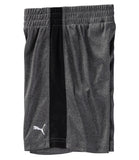 PUMA Boys 2T-4T T-Shirt Short Set