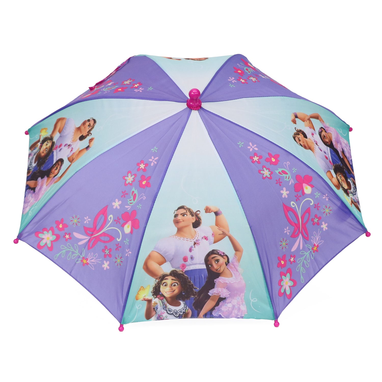 Disney Encanto Umbrella