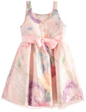 Youngland Girls Floral Overlay Dress