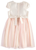 Bonnie Jean Girls 2T-4T Floral Mesh Ballerina Dress