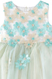 Pink Butterfly Girls 7-16 Embroidered Daisy Tulle Dress