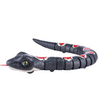 Zuru Robo Alive Battery-Powered Robotic Reptile Toy That Moves