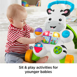 Fisher Price Learn with Me Zebra Walker, Multi