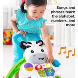 Fisher Price Learn with Me Zebra Walker, Multi