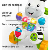 Fisher Price Learn with Me Zebra Walker, Multi