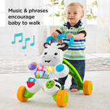 Fisher Price Learn with Me Zebra Walker, Multi
