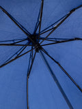 Rain Pro Inverted Reverse Folding Mini Umbrella