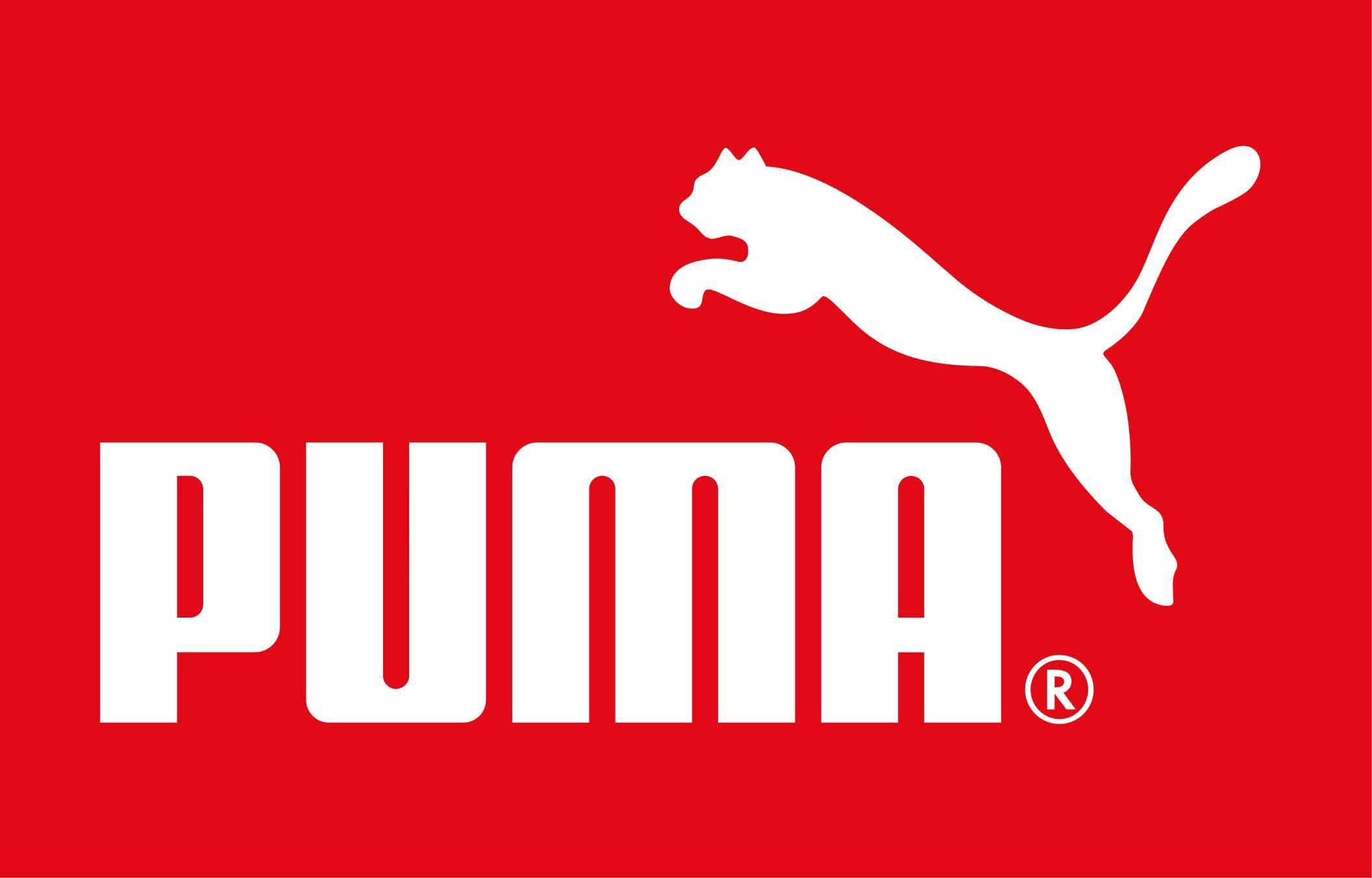 PUMA Boys 4-7 Logo Fleece Jogger Set