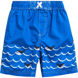 Wippette Kids Boys 2T-4T Rashguard Swim Set