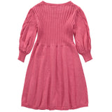 Bonnie Jean Girls 4-6X Long Sleeve Cable Knit Sweater Dress