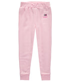 Tommy Hilfiger Girls 4-6X Logo Taping Jogger Set