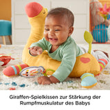 Fisher-Price Go Wild Gym & Giraffe Wedge