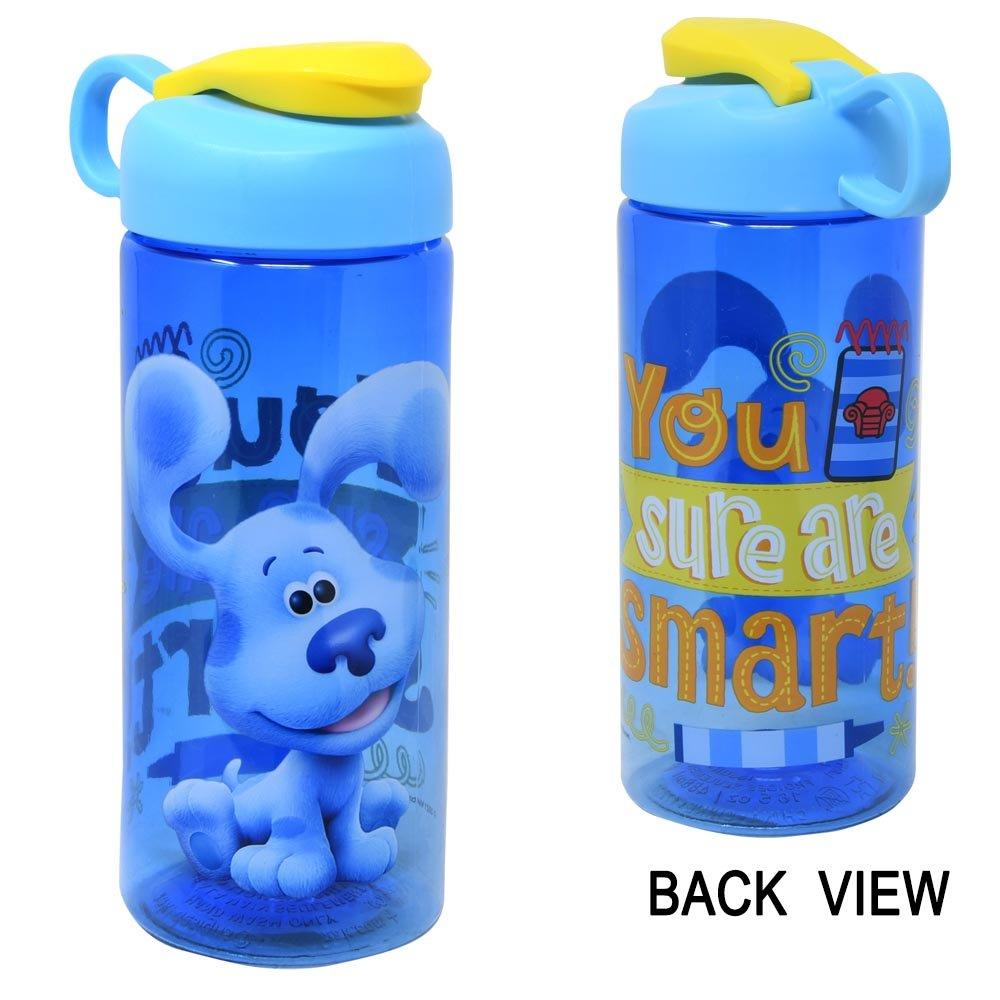 Frozen 2- 16.5oz Sullivan Bottle