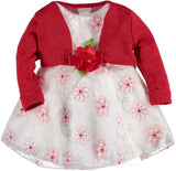 Sweet Heart Rose Girls 0-9 Months Special Occasion Floral Dress