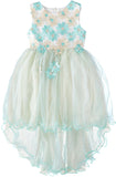 Pink Butterfly Girls 7-16 Embroidered Daisy Tulle Dress