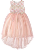 Pink Butterfly Girls 7-16 Embroidered Daisy Tulle Dress