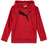 PUMA Boys 8-20 Core Pack Hoodie