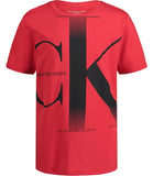 Calvin Klein Boys 8-20 Short Sleeve Logo T-Shirt